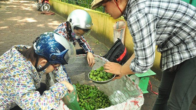 Chọn sấu tươi ngay trên vỉa hè.