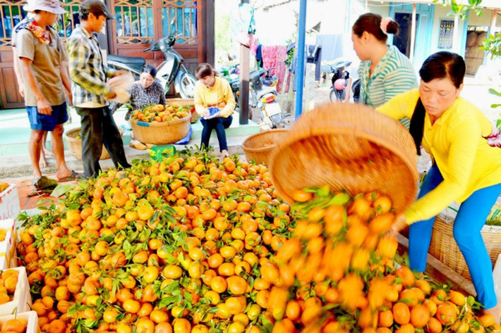 Trong khi đó, hàng Trung Quốc vẫn tràn ngập thị trường Việt Nam với tồn dư thuốc bảo vệ thực vật vượt ngưỡng cho phép. Trước đó, Cục Quản lý chất lượng nông sản và thủy sản (Nafiqad) thuộc Bộ Nông nghiệp và Phát triển nông thôn chỉ ra 8 mặt hàng nông sản của Trung Quốc nhiễm độc nhiều nhất ở Việt Nam gồm: chanh, cam, quýt, nho, hồng, táo, củ cải trắng, cà rốt.