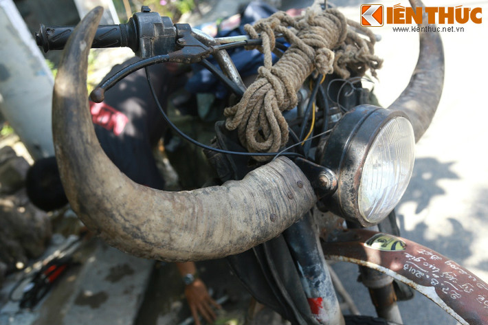 Chiếc sừng trâu trang trí trên xe được lấy từ con trâu số 9 trong lễ hội chọi trâu Đồ Sơn năm 2010 và chú trâu mộng này có trọng lượng hơn 500kg.