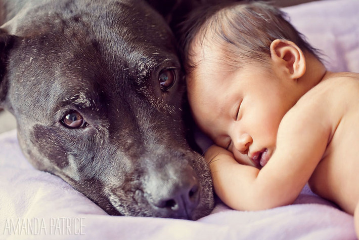 Làm chiếc gối tựa cho người bạn bé bỏng....