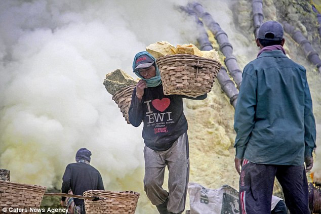 Với chiếc khăn đội quanh đầu, một công nhân bắt đầu gánh lưu huỳnh khỏi mỏ. Mỗi công nhân thường gánh được khoảng 70 kg lưu huỳnh.