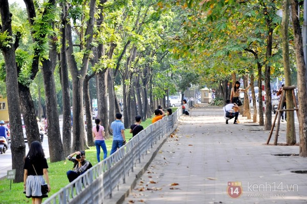Đây là một trong những đoạn đường đẹp nhất trên phố Kim Mã, giới trẻ thường xuyên ra đây ghi hình, chụp ảnh cưới. Rất may hàng cây xanh trên đường này gần như vẫn được giữ nguyên, chỉ chặt hạ những cây sâu mục.