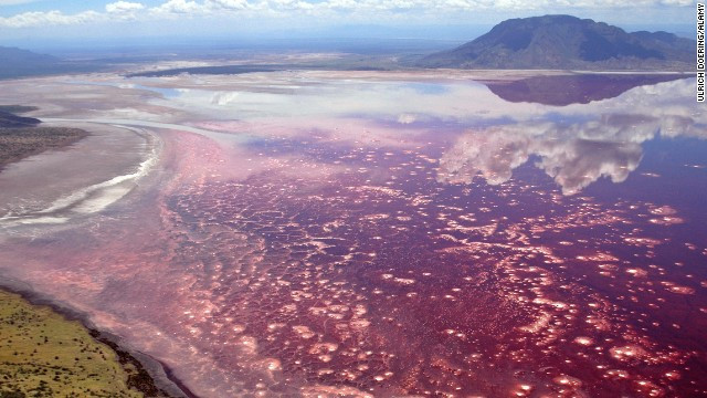 Nhiệt độ trong lòng hồ Natron ở Tanzania luôn giữ ở mức 140 độ C.