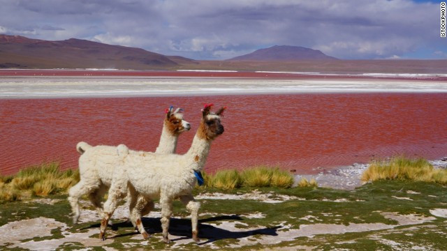 Hồ Colorada ở Bolivia có màu đỏ bí ẩn.