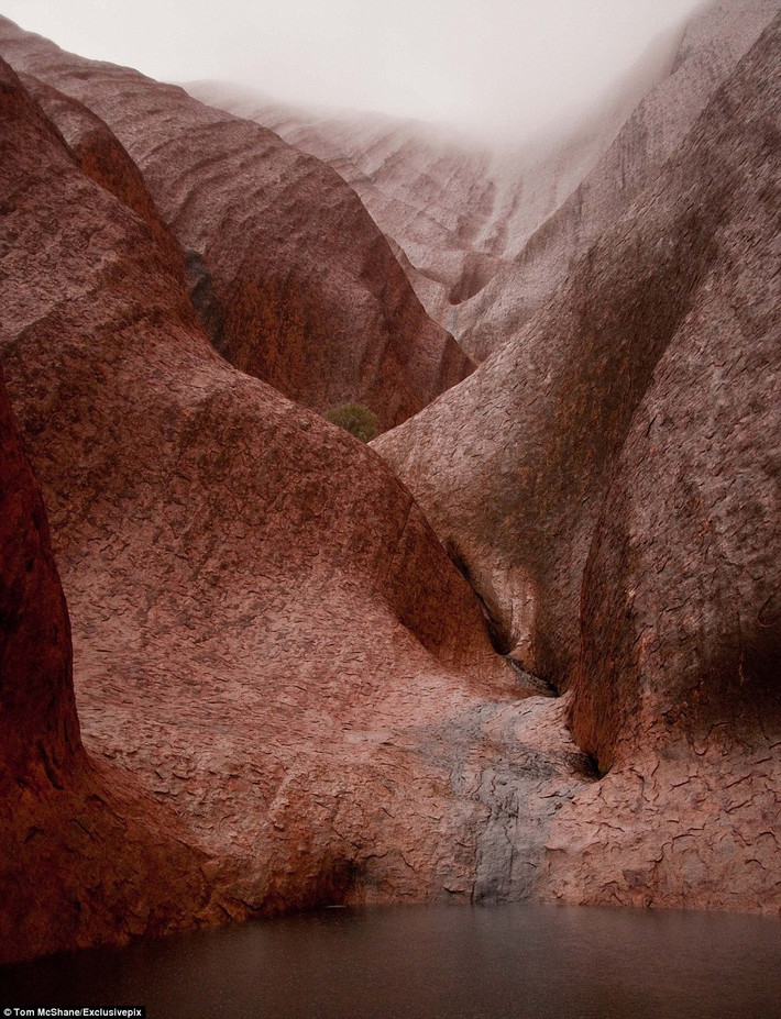 Trên núi đá Uluru có những hồ nước nhỏ.