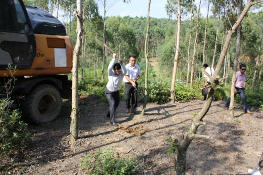 Tuy nhiên, sau đó hầu như không xuất hiện thông tin về dự án này nữa. Lần cuối cùng xuất hiện trên báo là vào tháng 6/2012 với bài "Siêu dự án Dream City ở Phú Thọ vẫn chỉ là những cánh đồng bỏ hoang" trên báo Giáo dục Việt Nam. Ảnh: Lễ động thổ dự án.