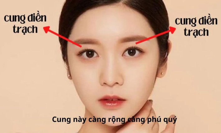 Cung điền trạch rộng: Cung điền trạch là khoảng từ bờ trên cặp mắt tới dìa dưới của cặp chân mày. Đây là bộ phận phụ trách các bất động sản của một người như nhà cửa, mua bất động sản có thể kiếm được nhiều tiền.