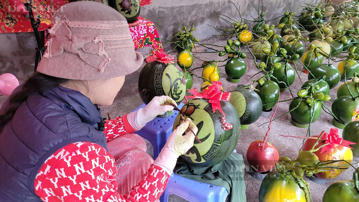 Nhiều người ở các tỉnh, thành phố như Hà Nội, Bắc Giang, Quảng Ninh, một số tỉnh miền Trung… biết đến sản phẩm của chị. Nhờ vậy, sản phẩm dừa, dưa hấu, bưởi có khắc, vẽ, viết tranh, thư pháp lan toả đến nhiều người. Còn mùa Tết Giáp Thìn 2024 này, ngay từ ngày 10 tháng Chạp, cơ sở của chị đã chuẩn bị hàng để bắt tay vào sáng tạo các tác phẩm tranh, thư pháp nghệ thuật trên dừa, dưa hấu. Dự định, vụ Tết này cơ sở sẽ làm số lượng 1000 quả dừa, vài trăm quả dưa hấu.
