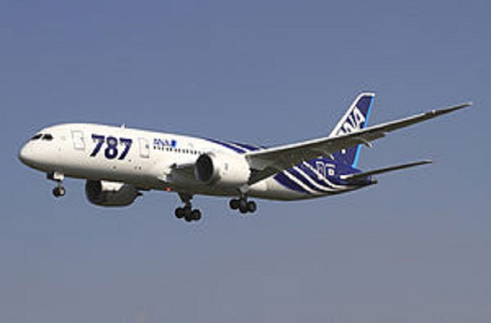 Hãng All Nippon Airway là hãng hàng không đầu tiên đưa loại máy bay này vào khai thác.