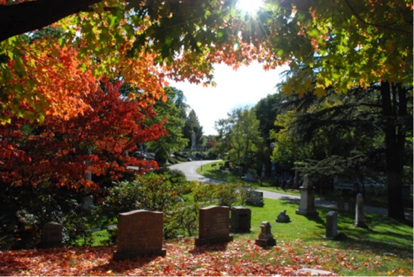Nghĩa trang Đỉnh Auburn, Massachusetts: Nghĩa trang được biết đến với hệ thực vật đa dạng và khung cảnh mê hồn. Được thành lập vào năm 1831 trên khu vườn một vụ và được thiết kế bởi nhà sinh học Jacob Bigelow, nghĩa trang có lẽ là cái đầu tiên được quản lý chuyên nghiệp trên toàn quốc. Giá cho một khu thường ở Vườn Hy vọng vào khoảng 1.500USD và tăng lên khoảng 500.000 USD cho một khu VIP.