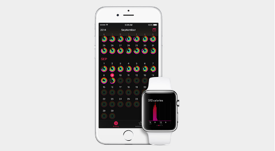 Giá khởi điểm của Apple Watch là 349 USD (trên 7,3 triệu đồng) và bắt đầu được bán ra từ đầu năm 2015.