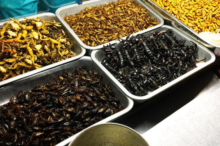 Ngoài chế biến món ăn, bọ cạp được nhiều người đặt mua về ngâm rượu, làm các bài thuốc dân gian