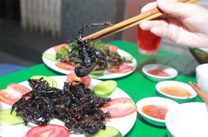 Nhìn bề ngoài đáng sợ, ít ai nghĩ rằng nó có thể chế biến thành món ăn. Nhưng thực tế, đây lại là đặc sản nổi tiếng có giá đắt đỏ được nhiều người săn lùng