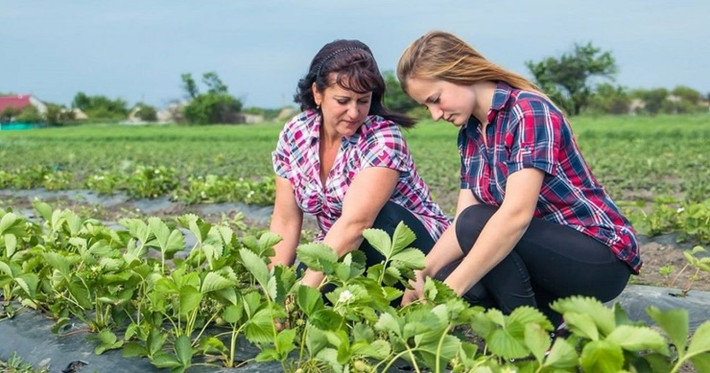 Ngoài ngành khai thác khoáng sản, sản xuất nhiên liệu, công nghiệp quốc phòng thì nước này còn là một trong những nhà sản xuất và xuất khẩu nông sản lớn nhất thế giới