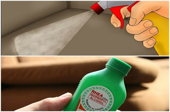 Bạn cũng có thể "đầu tư" hơn một chút, mua dung dịch vệ sinh sofa hoặc chất tẩy rửa nội thất ô tô (có giá 300-400 nghìn), xịt trực tiếp lên bề mặt sofa, rồi lau sạch.