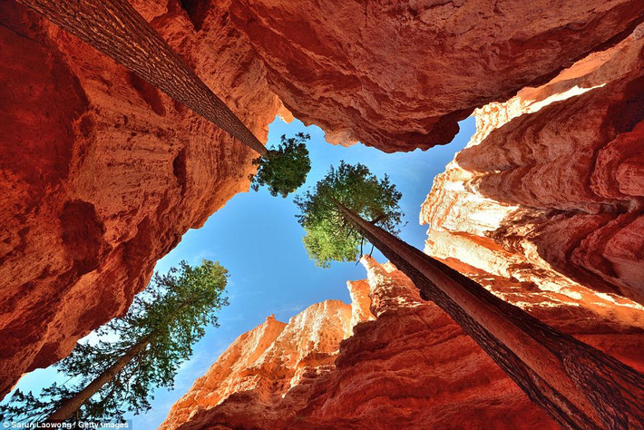 Khung cảnh tuyệt đẹp của vườn quốc gia Bryce Canyon nằm ở miền tây nam Utah, Mỹ.