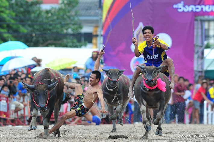 Một người điều khiển bị ngã trong cuộc đua.