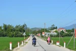 Đồng Tháp: Gói thi công đường nội đồng ở Bình Phú đã nhà thầu thi công