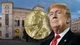 Ông Trump được đề cử giải Nobel Hòa bình năm 2026