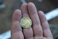 Kho báu 69 đồng tiền xu cổ bỗng trồi lên giữa lớp rêu rừng