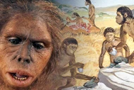 Khám phá xương Homo habilis cổ đại giúp hiểu rõ nguồn gốc loài người