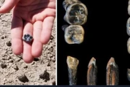 Răng cổ 2,8 triệu năm bằng chứng mới về sự tiến hóa của loài người
