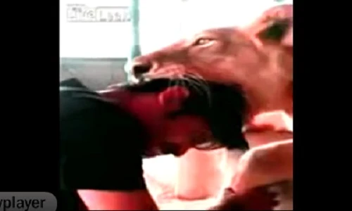 Kinh hoàng sư tử ngoạm cả đầu người