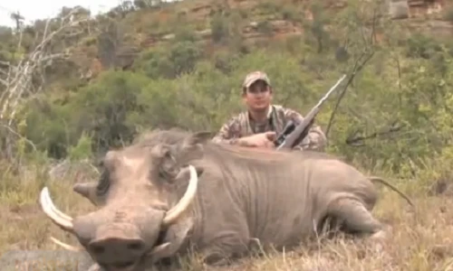 Cận cảnh xạ thủ săn lợn lòi