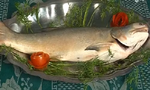 Cách làm cá ngứa hấp dưa chuẩn vị xứ Nghệ