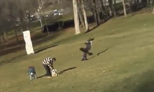 Xanh mặt chứng kiến đại bàng bắt trẻ em