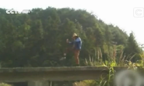 Đã mắt xem anh nông dân nhảy kiểu Michael Jackson