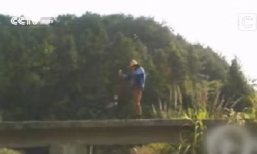 Đã mắt xem anh nông dân nhảy kiểu Michael Jackson