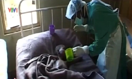 Sắp có vắc xin phòng chống dịch bệnh Ebola?