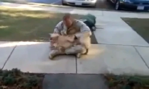 Chú chó mừng rỡ sau 2 năm gặp lại chủ nhân