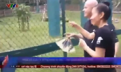 Clip Thu Minh trần tình về việc dùng mật gấu