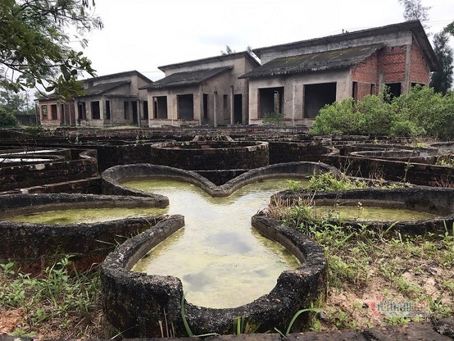 Cảnh 'ma mị' ở dự án du lịch trăm tỷ trên đất vàng ven biển Quảng Trị - Hình 3 Canh 'ma mi' o du an du lich tram ty tren dat vang ven bien Quang Tri-Hinh-3
