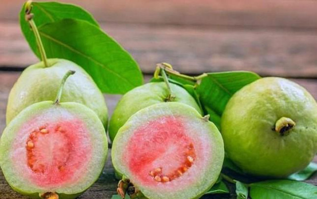 Những người mắc các bệnh sau không nên ăn ổi kẻo hối không kịp - Hình 2 Nhung nguoi mac cac benh sau khong nen an oi keo hoi khong kip-Hinh-2