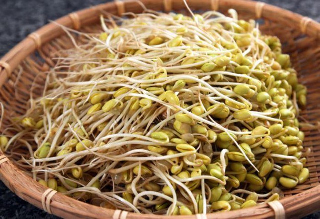 Những đại kỵ khi ăn giá đỗ, cần tuyệt đối tránh Nhung dai ky khi an gia do, can tuyet doi tranh