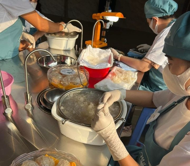 Nhà giàu chi hàng chục triệu đồng mua vàng trắng về tẩm bổ - Hình 5 Nha giau chi hang chuc trieu dong mua vang trang ve tam bo-Hinh-5
