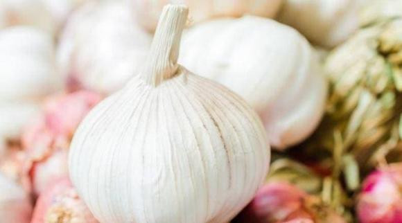 Ăn tỏi ngâm giấm mỗi ngày kháng khuẩn, tiêu viêm - Hình 2 An toi ngam giam moi ngay khang khuan, tieu viem-Hinh-2