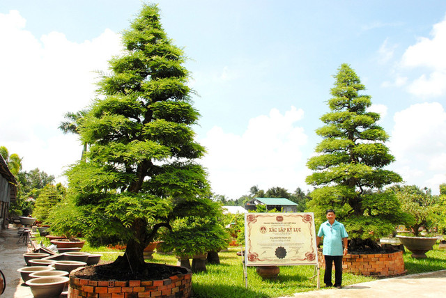 Lá cây thay tiền, đến chợ này mua đồ ăn không lo tốn kém - Hình 3 La cay thay tien, den cho nay mua do an khong lo ton kem-Hinh-3