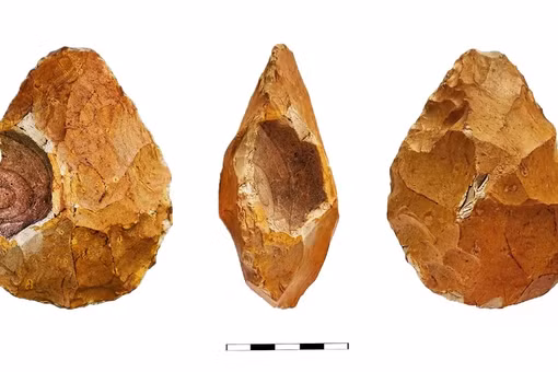 Phát hiện mới về công cụ bằng đá của người Homo erectus