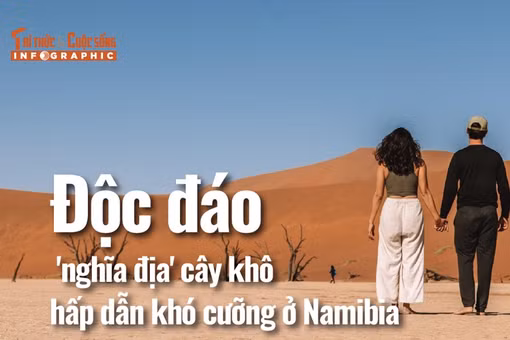 [INFOGRAPHIC] Độc đáo 'nghĩa địa' cây khô hấp dẫn khó cưỡng ở Namibia