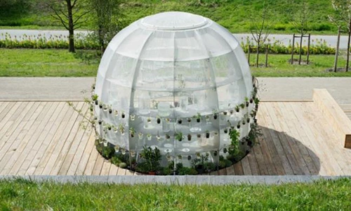 Ngộ nghĩnh nhà quả bóng thủy tinh trồng dược liệu