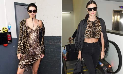 Mặc họa tiết da báo đẹp như sao Hollywood