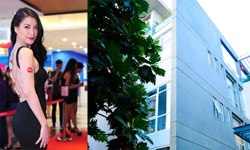 Trương Ngọc Ánh sở hữu gia sản triệu đô đáng mơ ước