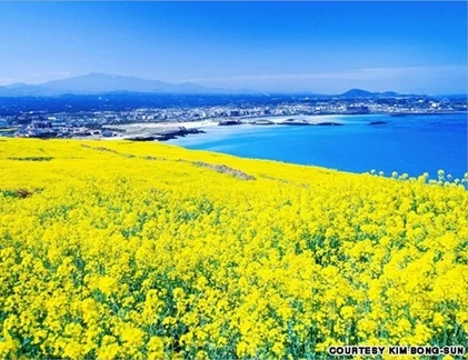 Ngắm những phong cảnh "chỉ có ở Hàn Quốc"