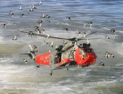 Sự kiện đáng nhớ trong tuần qua hình ảnh