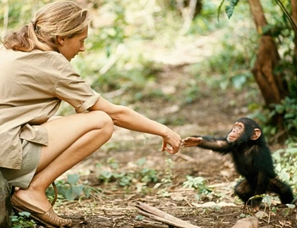 10 bức ảnh đẹp nhất trong lịch sử National Geographic