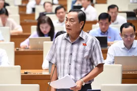 Bỏ án tử hình... nhìn từ vụ Trương Mỹ Lan